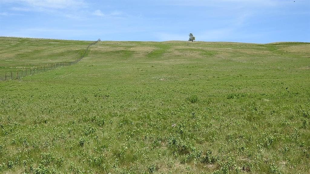 Listing A1231138 - Large Photo # 11