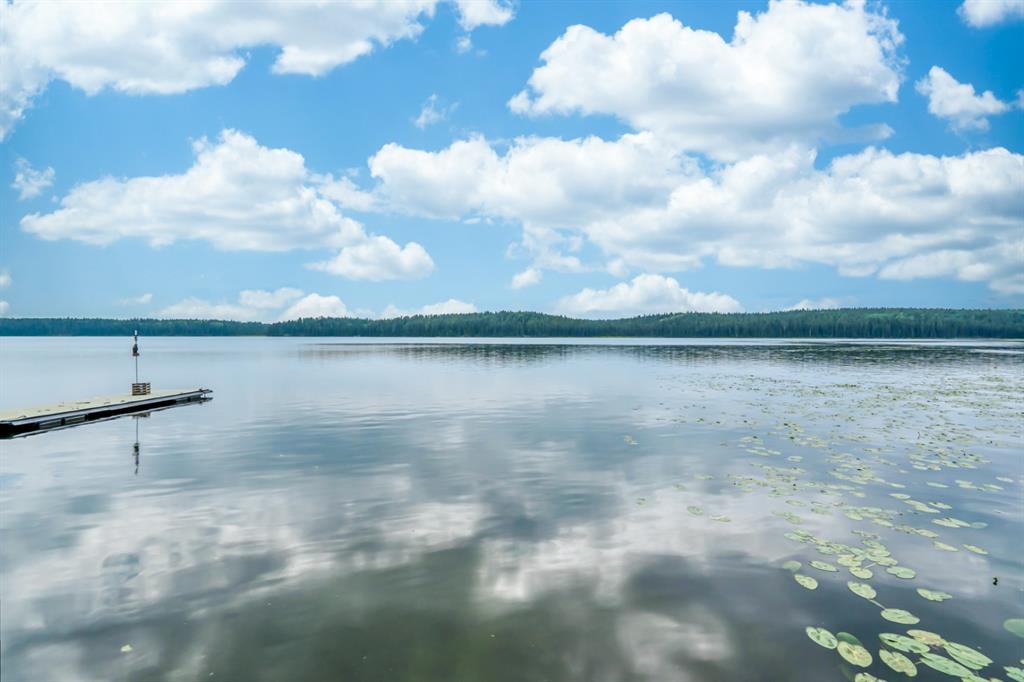 Listing A1234506 - Large Photo # 46