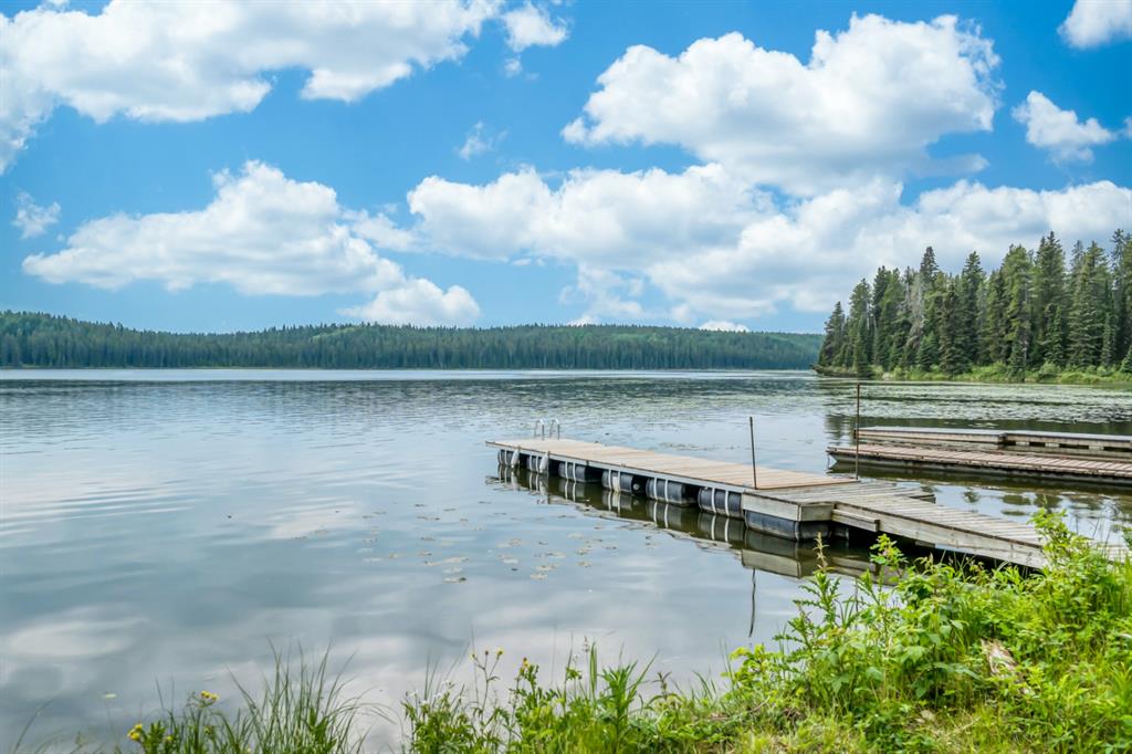 Listing A1234506 - Large Photo # 44