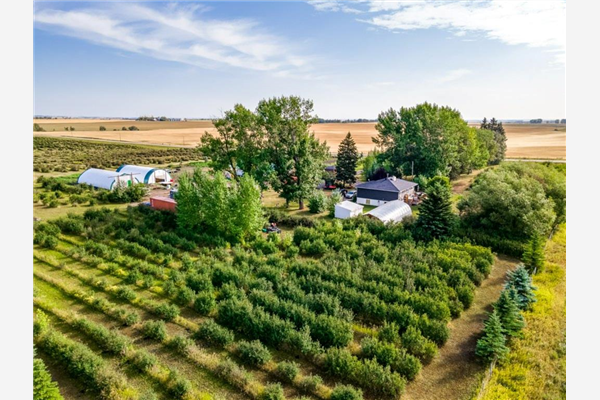 30352 Range Road 20, Rural Mountain View County