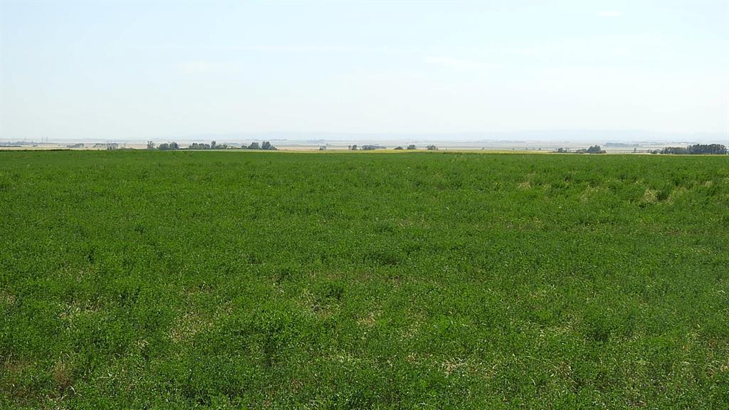Listing A1250538 - Large Photo # 14