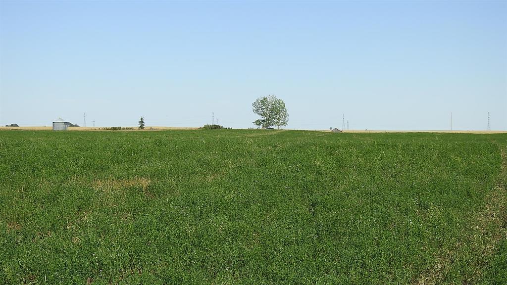 Listing A1250538 - Large Photo # 15