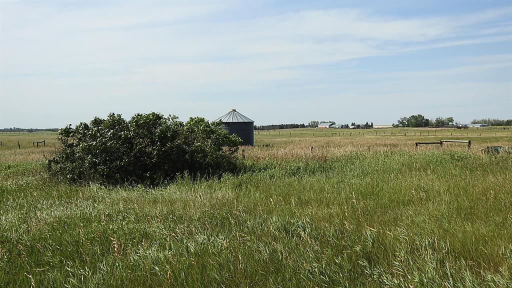 Listing A1250538 - Large Photo # 6