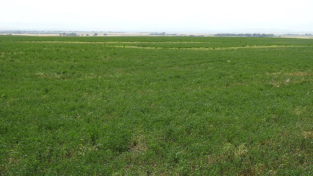Listing A1250538 - Large Photo # 13