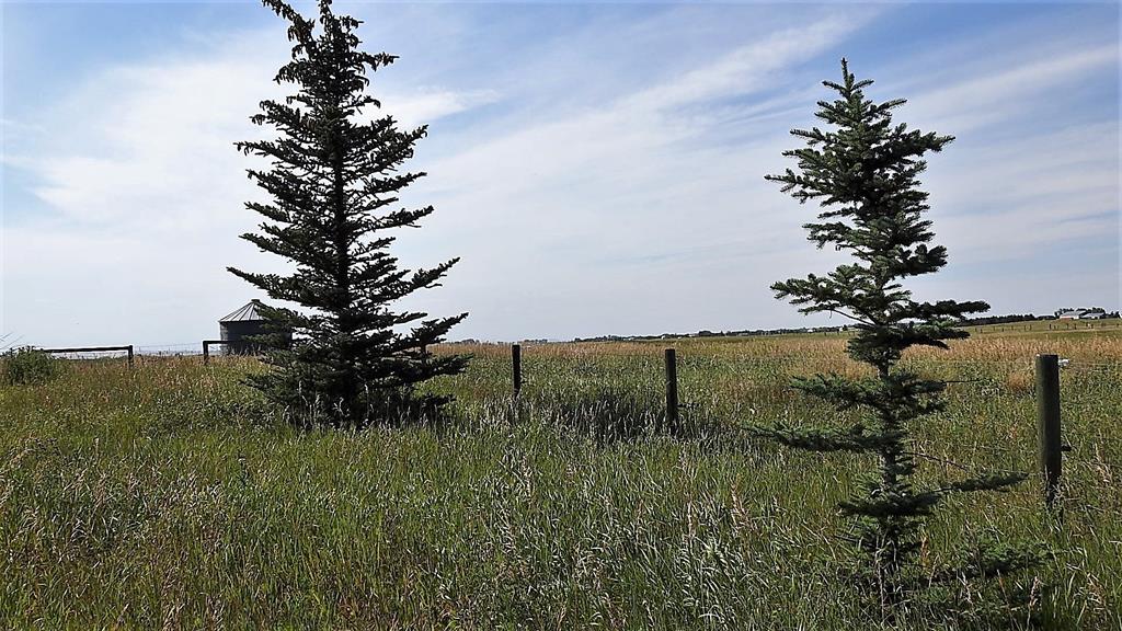 Listing A1250538 - Large Photo # 2