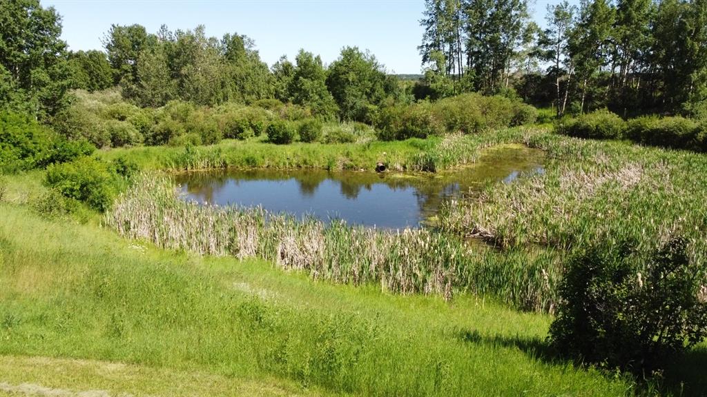 Listing A1256038 - Large Photo # 6