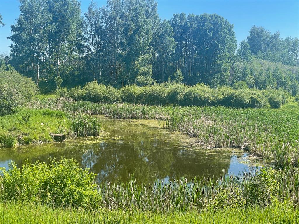 Listing A1256038 - Large Photo # 30