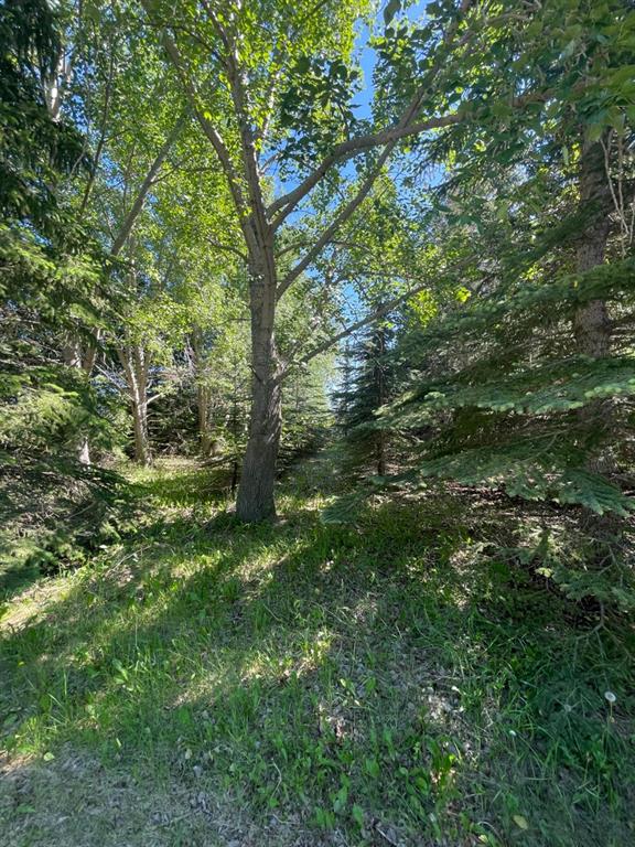 Listing A1256038 - Large Photo # 32