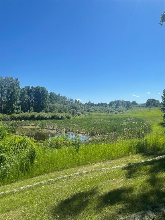 Listing A1256038 - Large Photo # 29