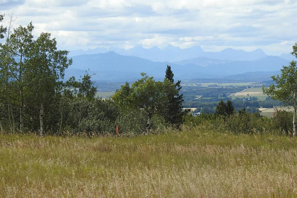 244296 Artists View Gate, Rural Rocky View County
