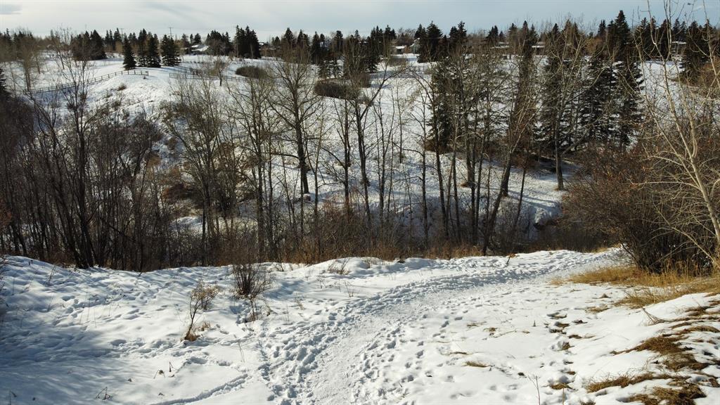 Listing A2023107 - Large Photo # 25