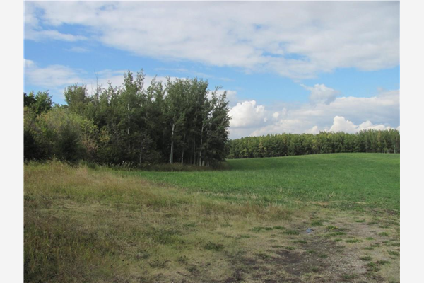 60 acres NW of Bowden, Rural Red Deer County