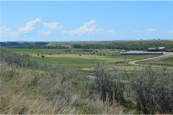 215A Township Rd, Rural Vulcan County