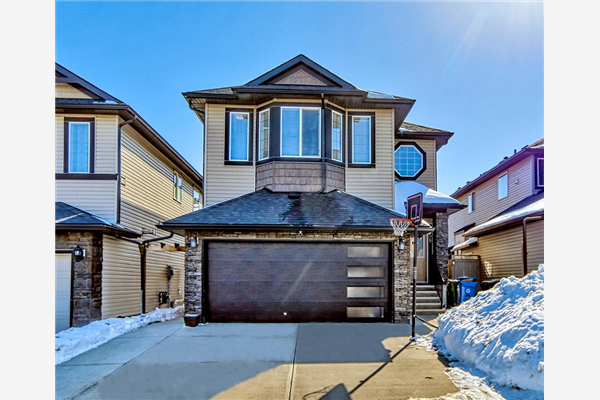 458 Saddlelake Drive NE, Calgary