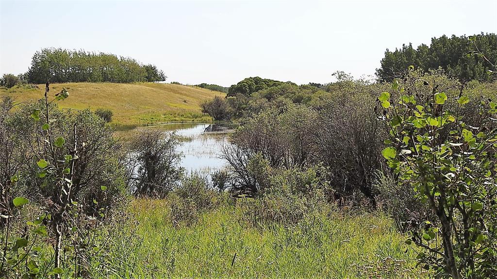 Listing A2048737 - Large Photo # 46
