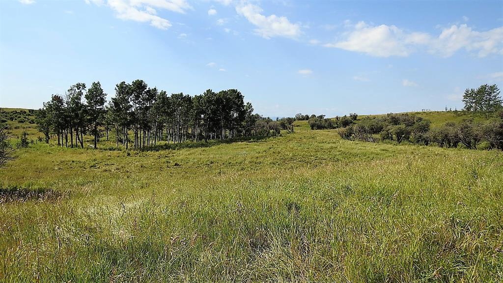 Listing A2048737 - Large Photo # 45