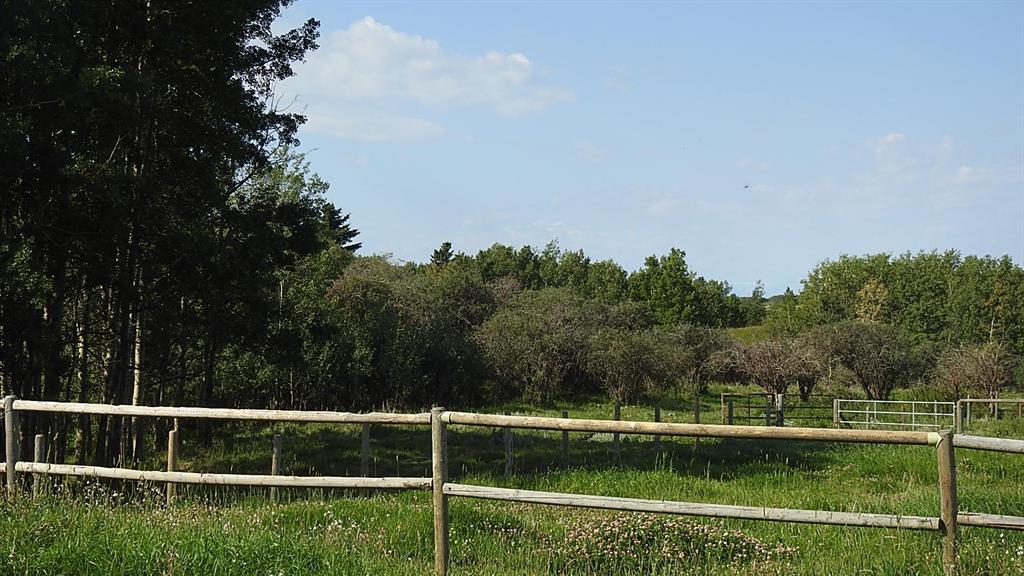 Listing A2048737 - Large Photo # 24