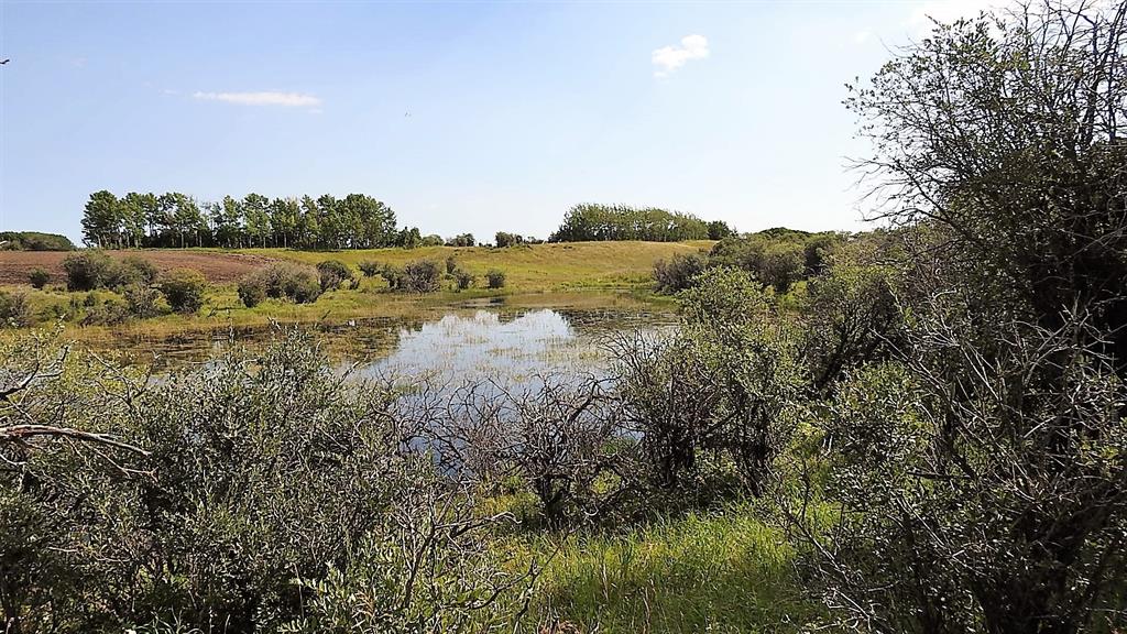 Listing A2048737 - Large Photo # 25