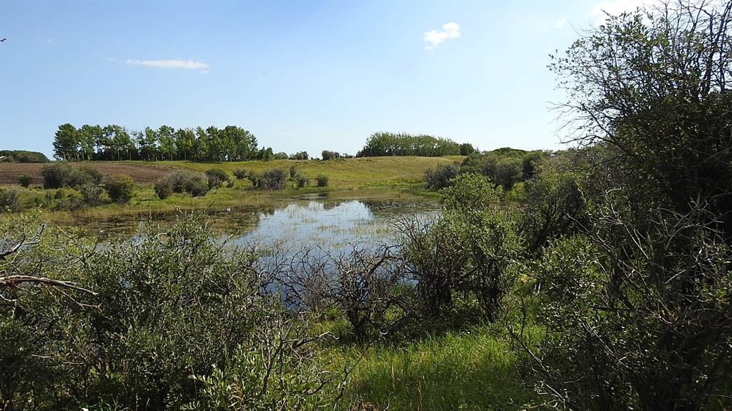 Listing A2048737 - Large Photo # 12