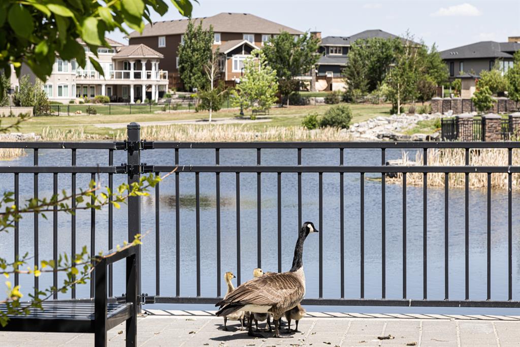 Listing A2049973 - Large Photo # 13