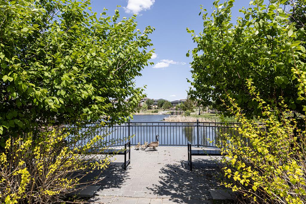 Listing A2049987 - Large Photo # 12