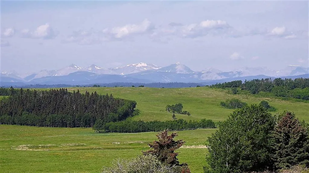 79.41 Acres SE-13-22-3W5