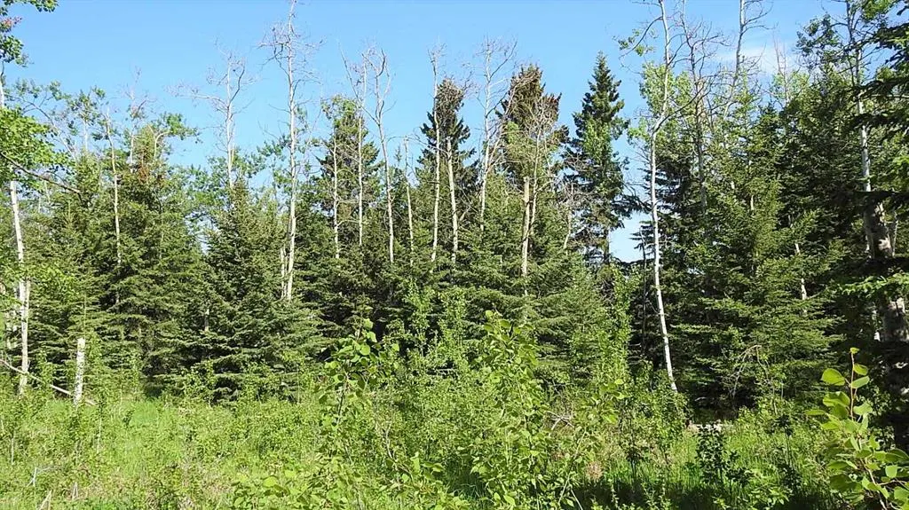 79.41 Acres SE-13-22-3W5