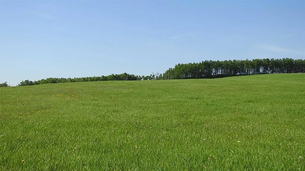 79.41 Acres SE-13-22-3W5