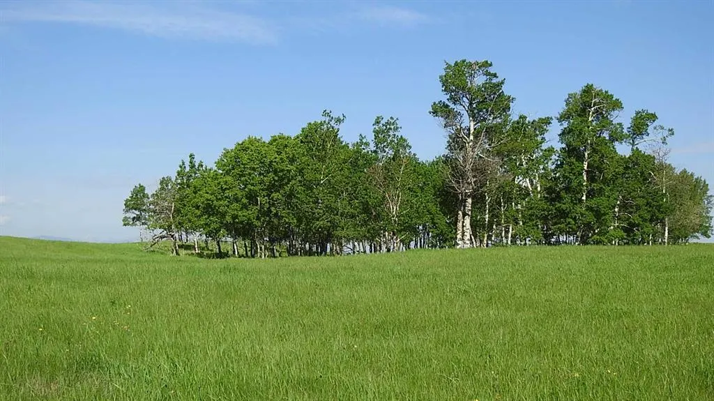79.41 Acres SE-13-22-3W5