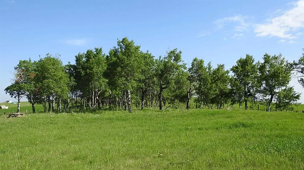 79.41 Acres SE-13-22-3W5