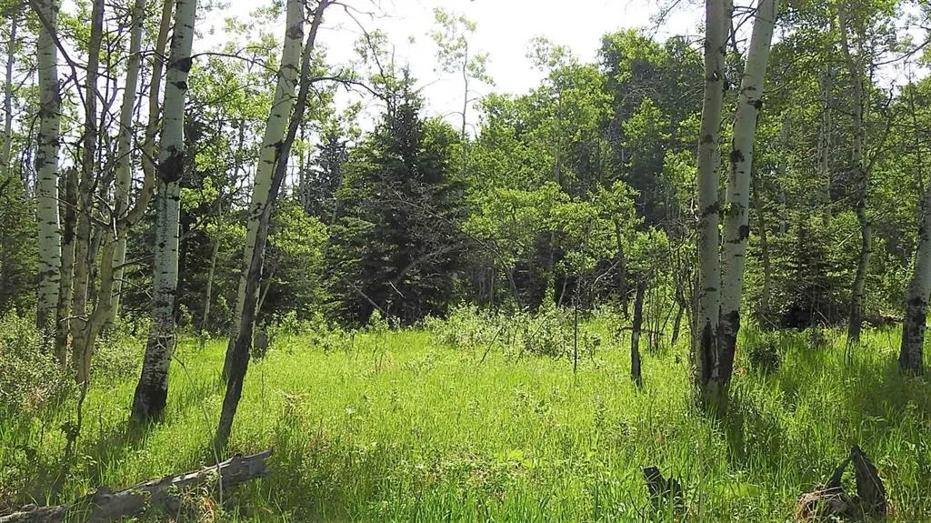 79.41 Acres SE-13-22-3W5