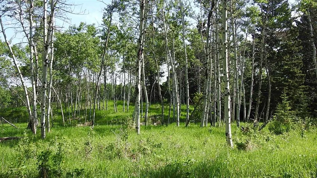 79.41 Acres SE-13-22-3W5