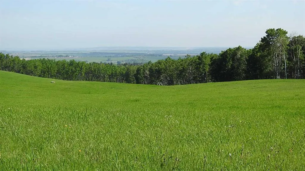 79.41 Acres SE-13-22-3W5