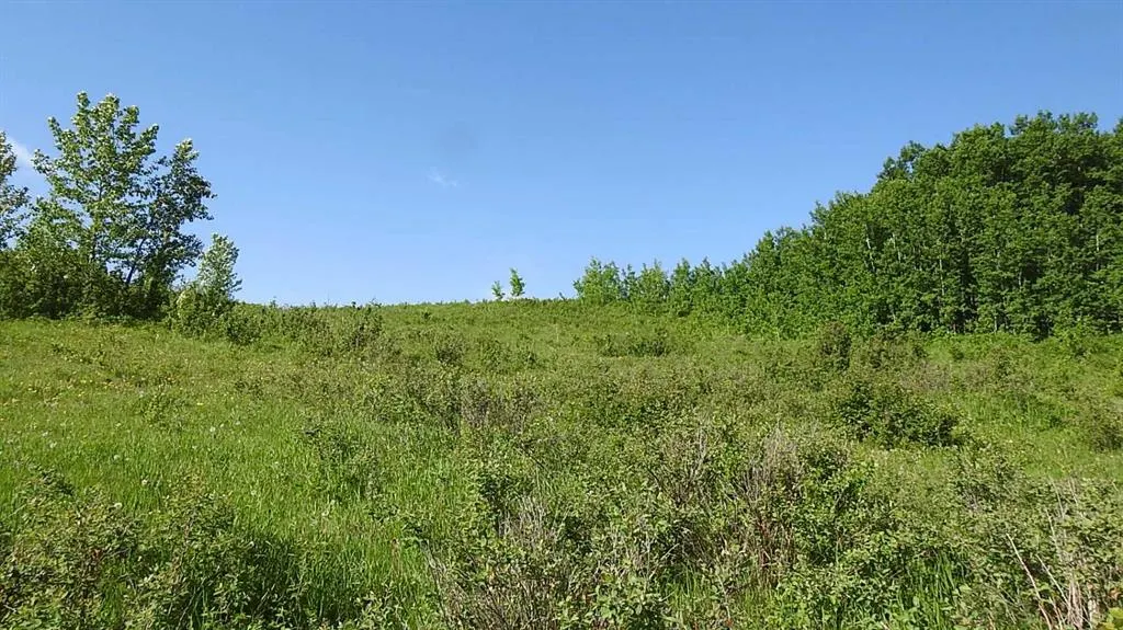 79.41 Acres SE-13-22-3W5