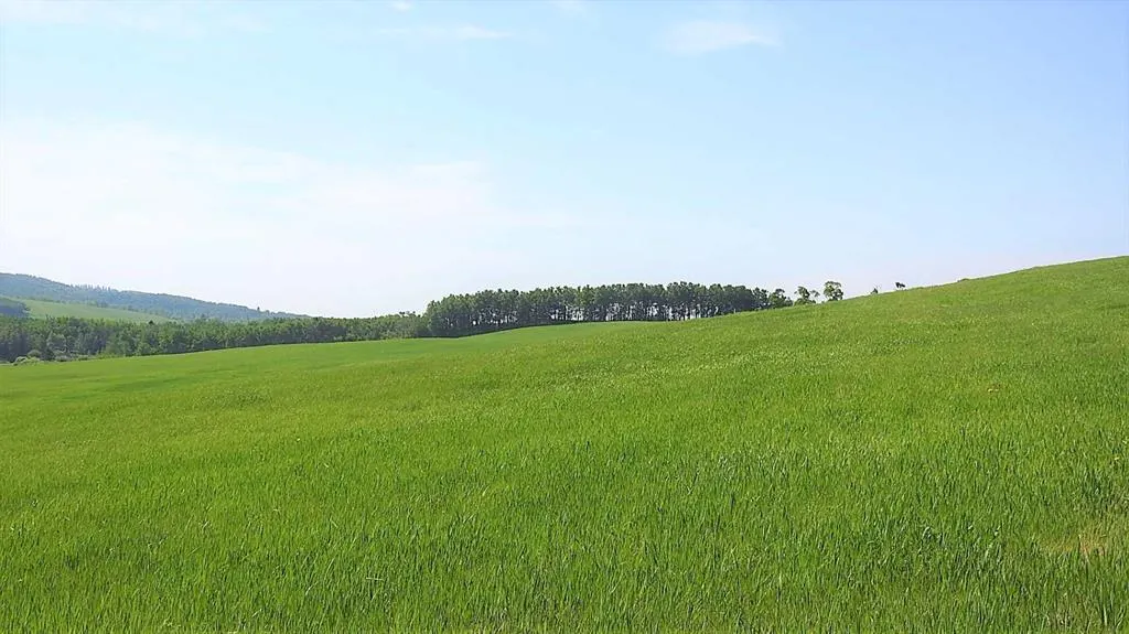 79.41 Acres SE-13-22-3W5