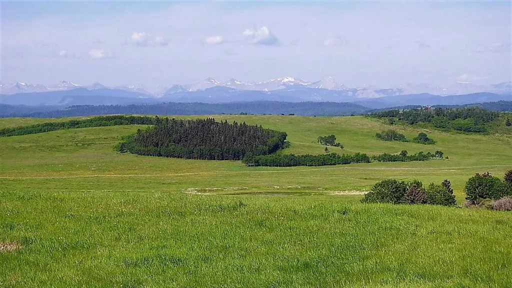 79.41 Acres SE-13-22-3W5
