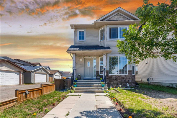 262 saddlebrook Circle NE, Calgary