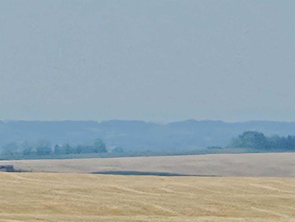 Symons Valley