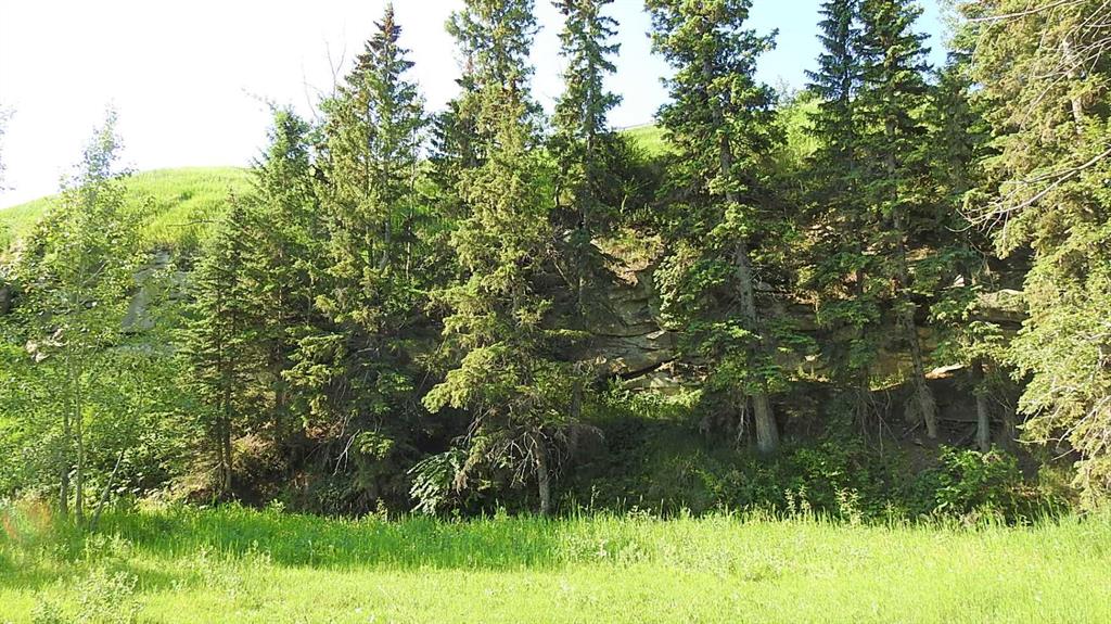 Listing A2074003 - Large Photo # 42