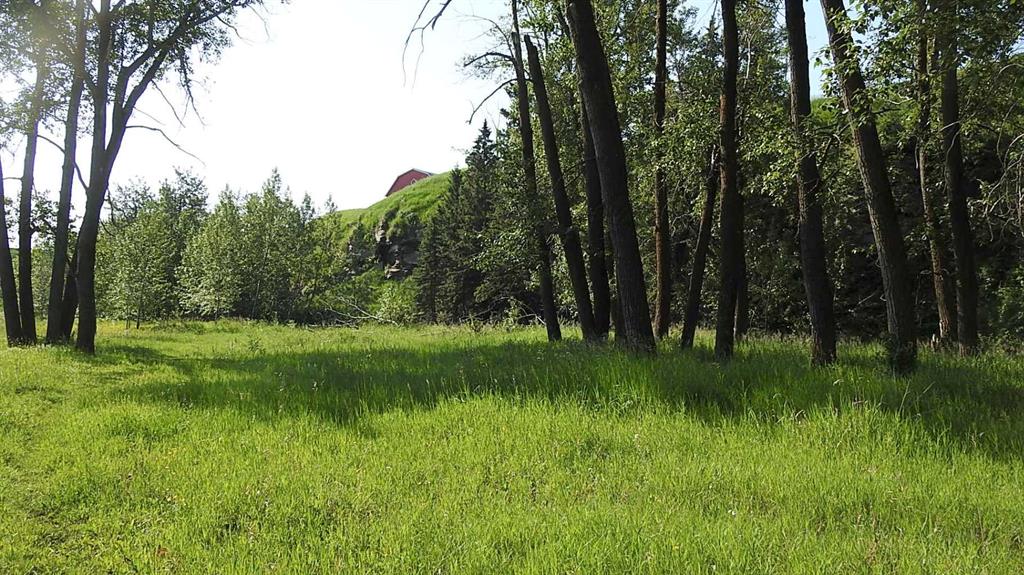 Listing A2074003 - Large Photo # 43