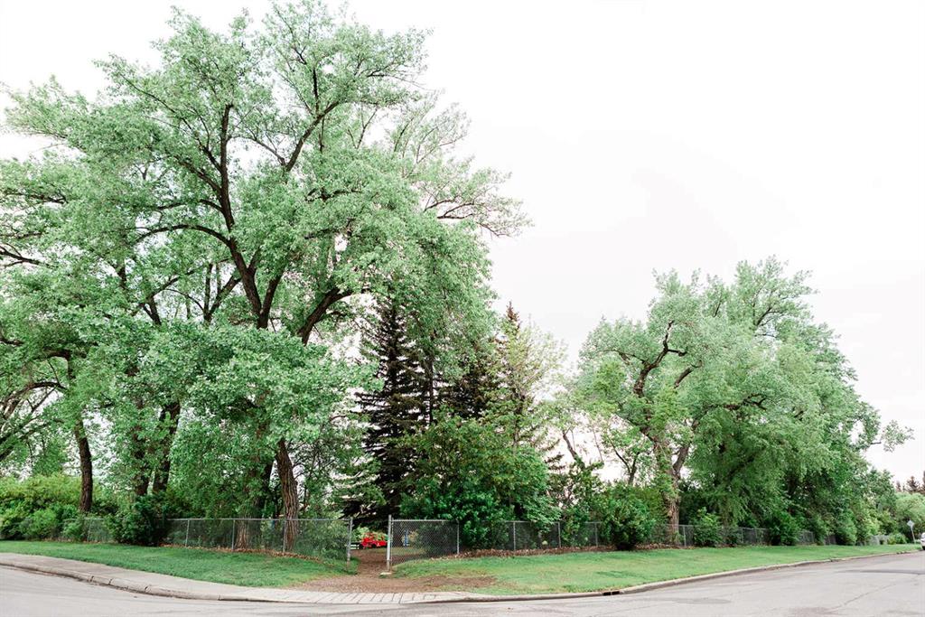 2008 35 Street SW