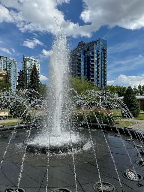 303 13 Avenue SW, #103