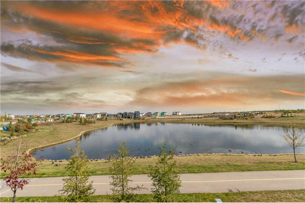 28 Cornerbrook Common NE, Calgary