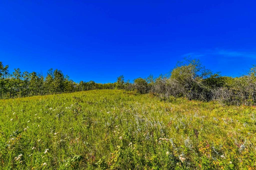 Lot 4 Whitetail Road