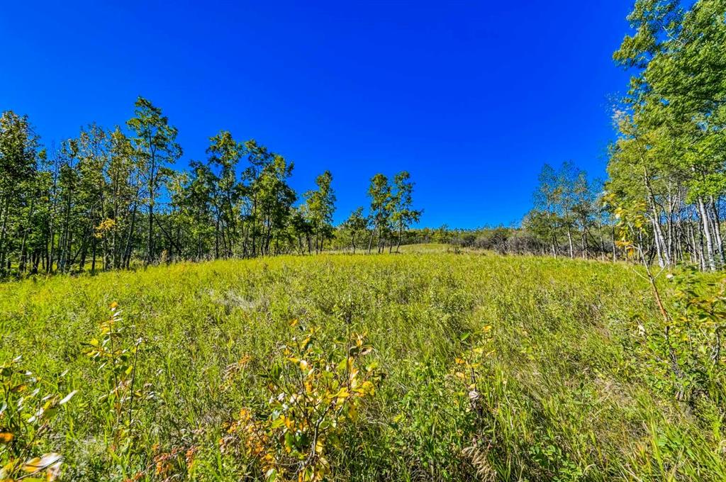 Lot 4 Whitetail Road