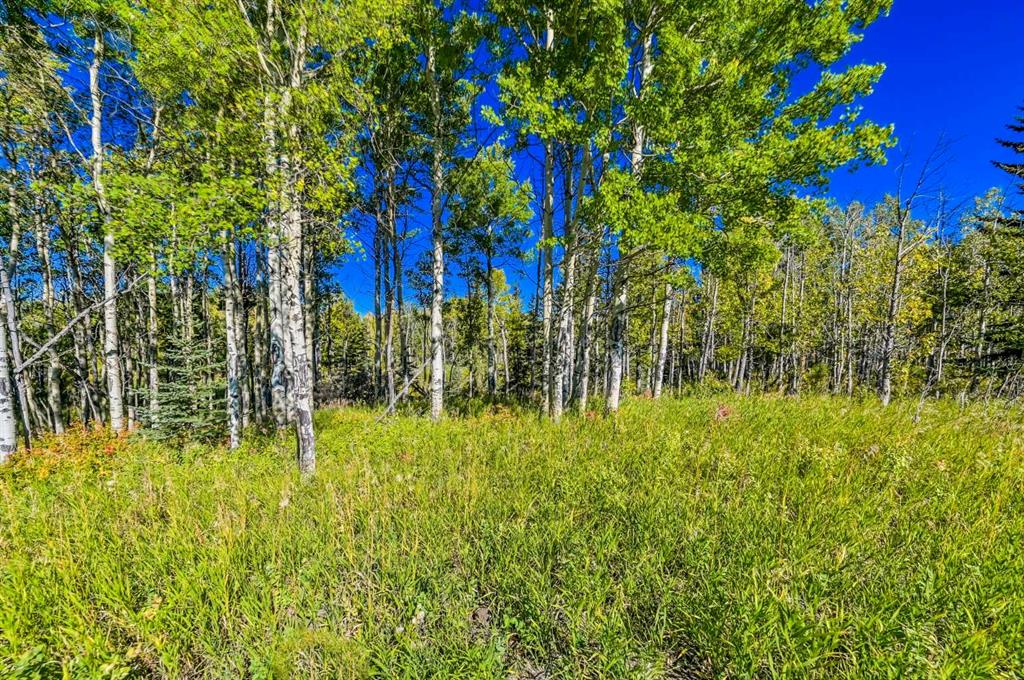 Lot 4 Whitetail Road