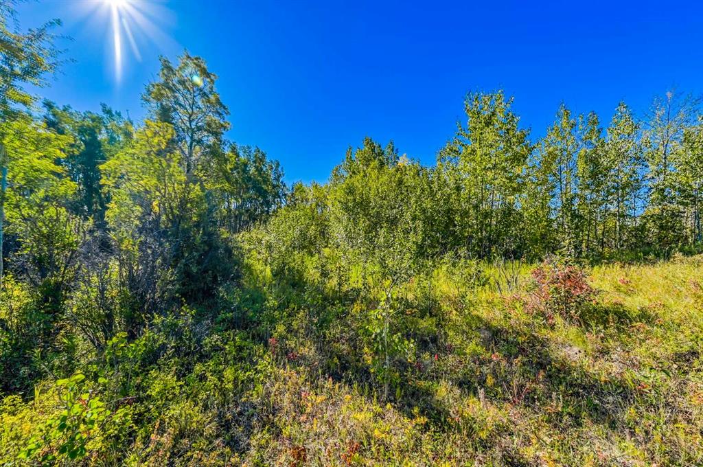 Lot 4 Whitetail Road
