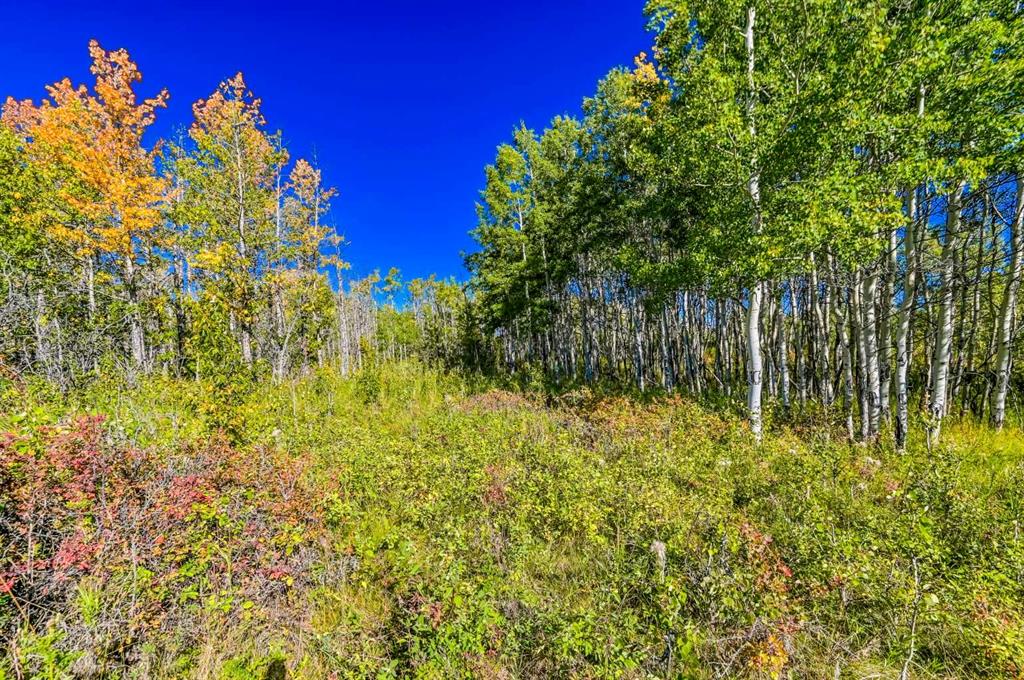 Lot 3 Whitetail Road