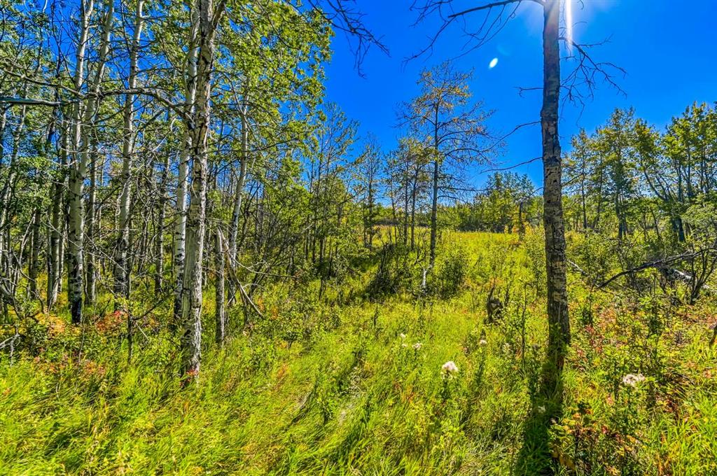 Lot 3 Whitetail Road
