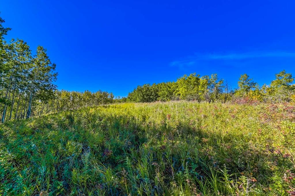 Lot 3 Whitetail Road